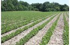 Property photo 12 - AUCTION POSTPONED